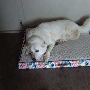 Meet your Posher, Athena